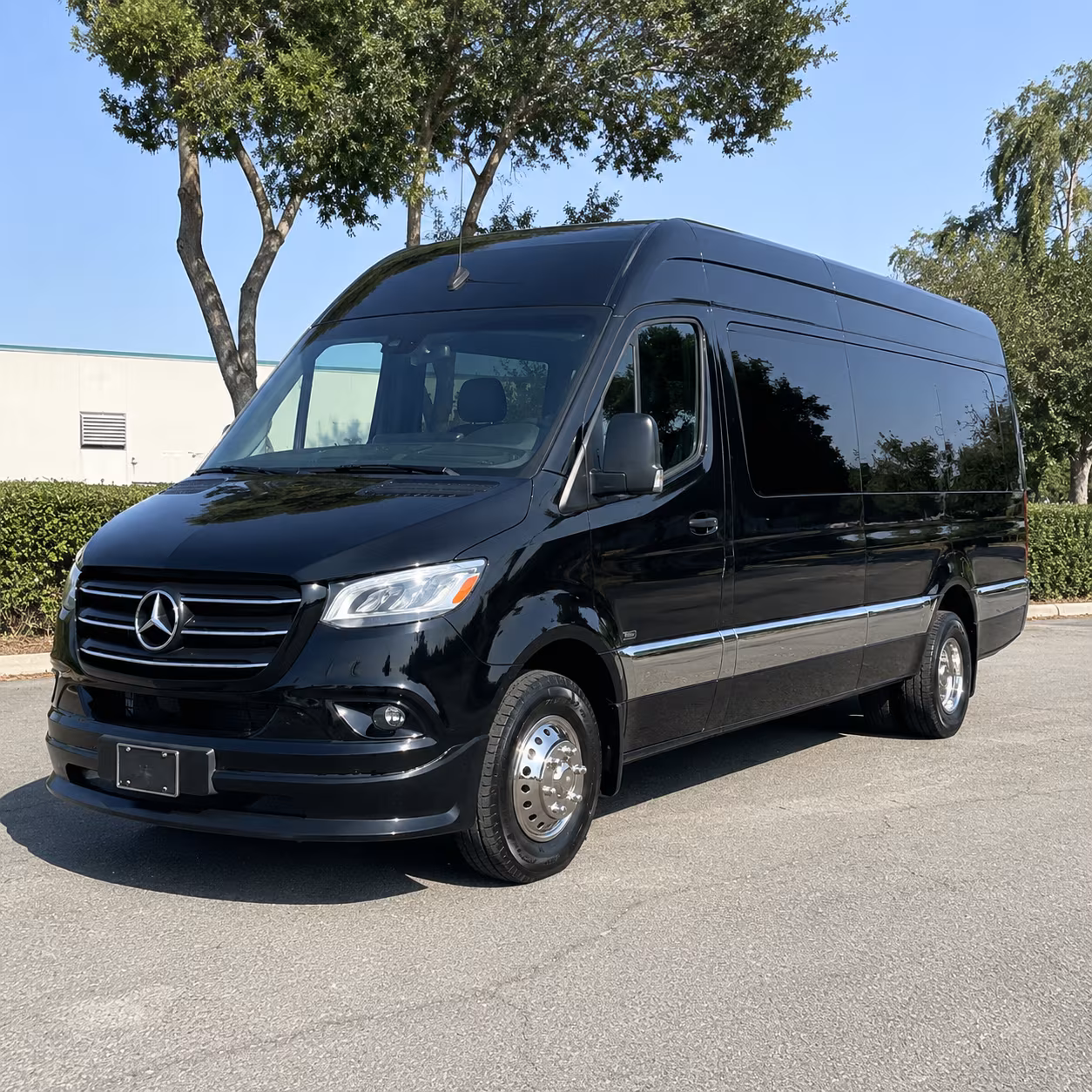 detroit wine tour sprinter van rental