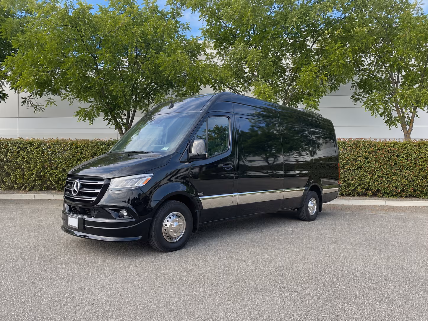 sprinter van options for detroit trips